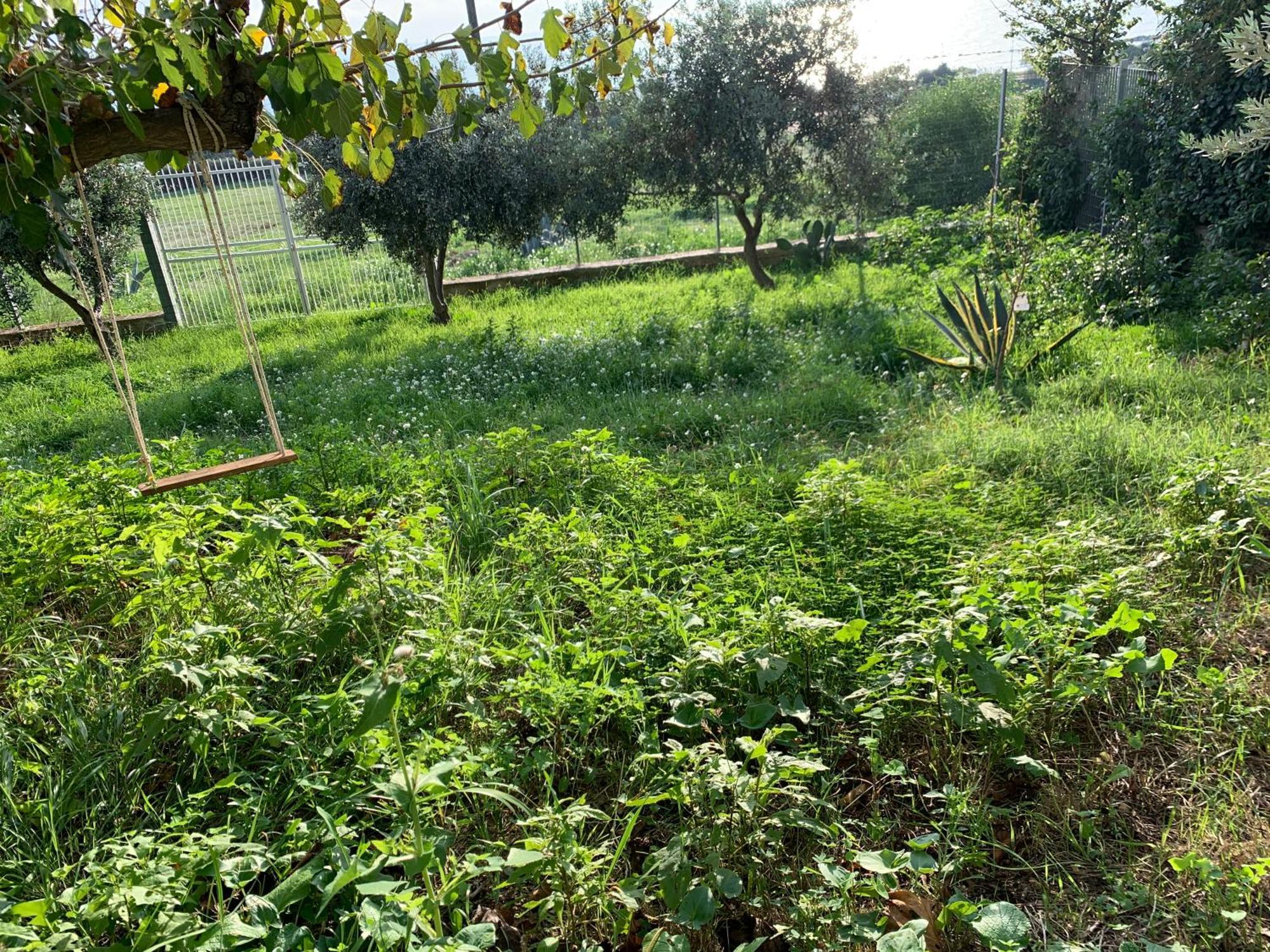 Casa Rituzza Appartement San Leone Buitenkant foto